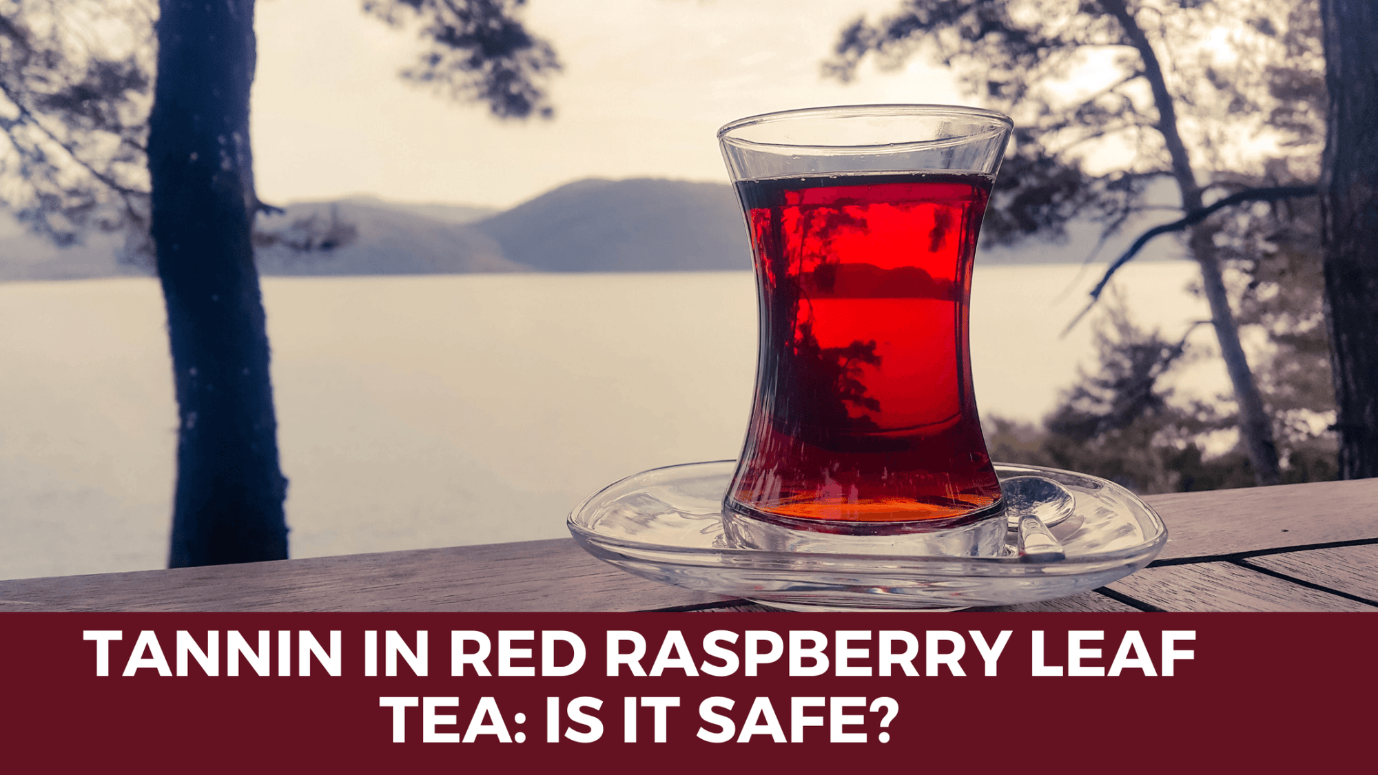 TANNIN IN RED RASPBERRY LEAF TEA: IS IT SAFE? - Teatoxlife