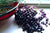 The Process of Extracting Elderberry Juice from Elderberry Bush - Teatoxlife